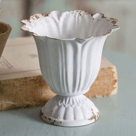 Small Scalloped Cup - Box of 4
